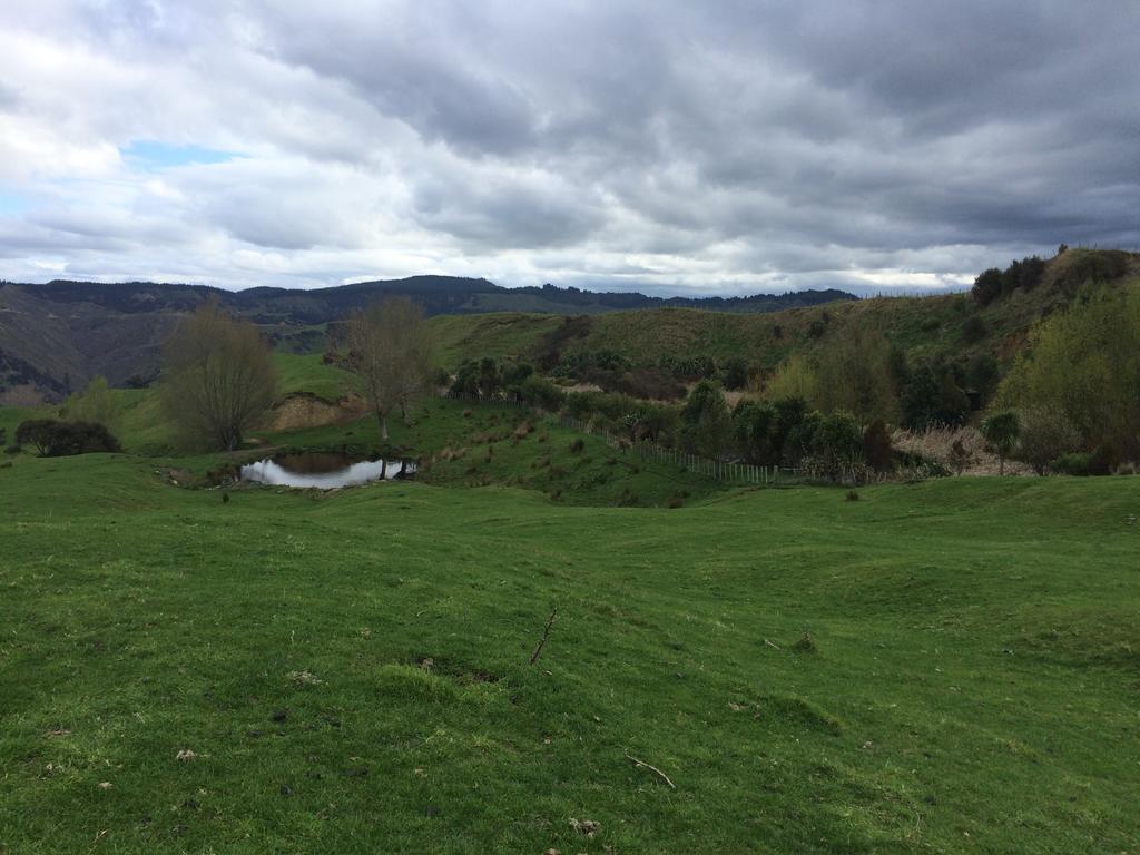 Ohuka Lodge Tuai Eksteriør billede